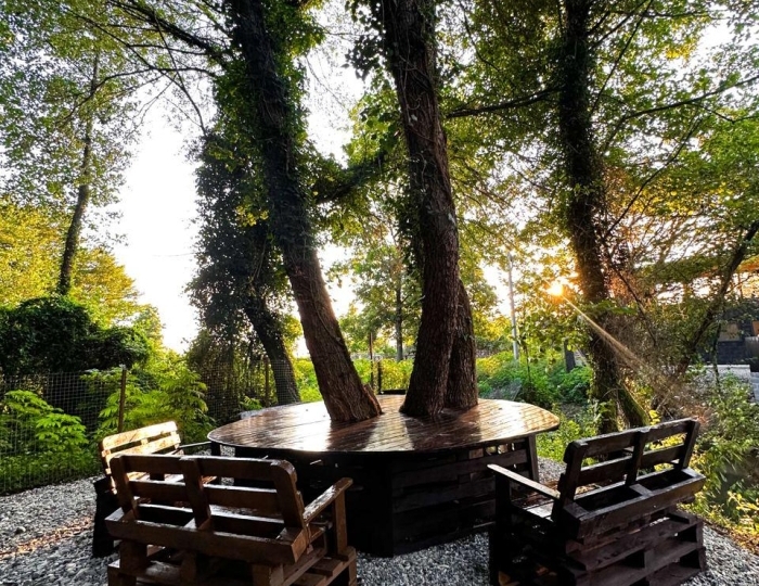 Эко-отель «Aqua Resort Dacha» Дранда